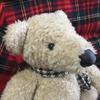 [USED] Christmas Teddy Bear, MON SEUIL Tweed Muffler Bear