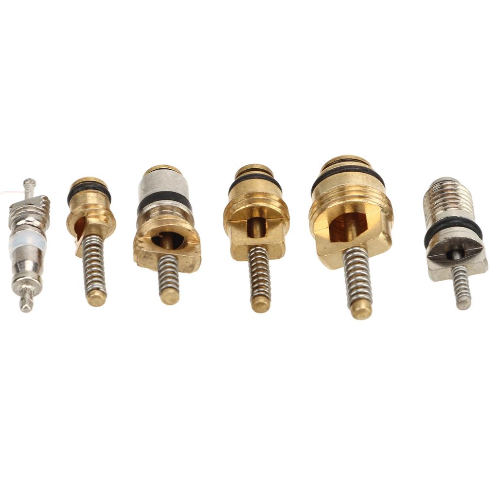 41 Stück AC Hauptventilkern-Set mit Ausbauwerkzeug R12 R134a Kfz-Kälteanlagen-Ventilkerne für