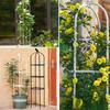 6ft Garden Obelisk Trellis for Climbing Plants-Rustproof Metal Pipe with Heavy Duty Plastic Coated, Garden Outdoor Indoor Potted