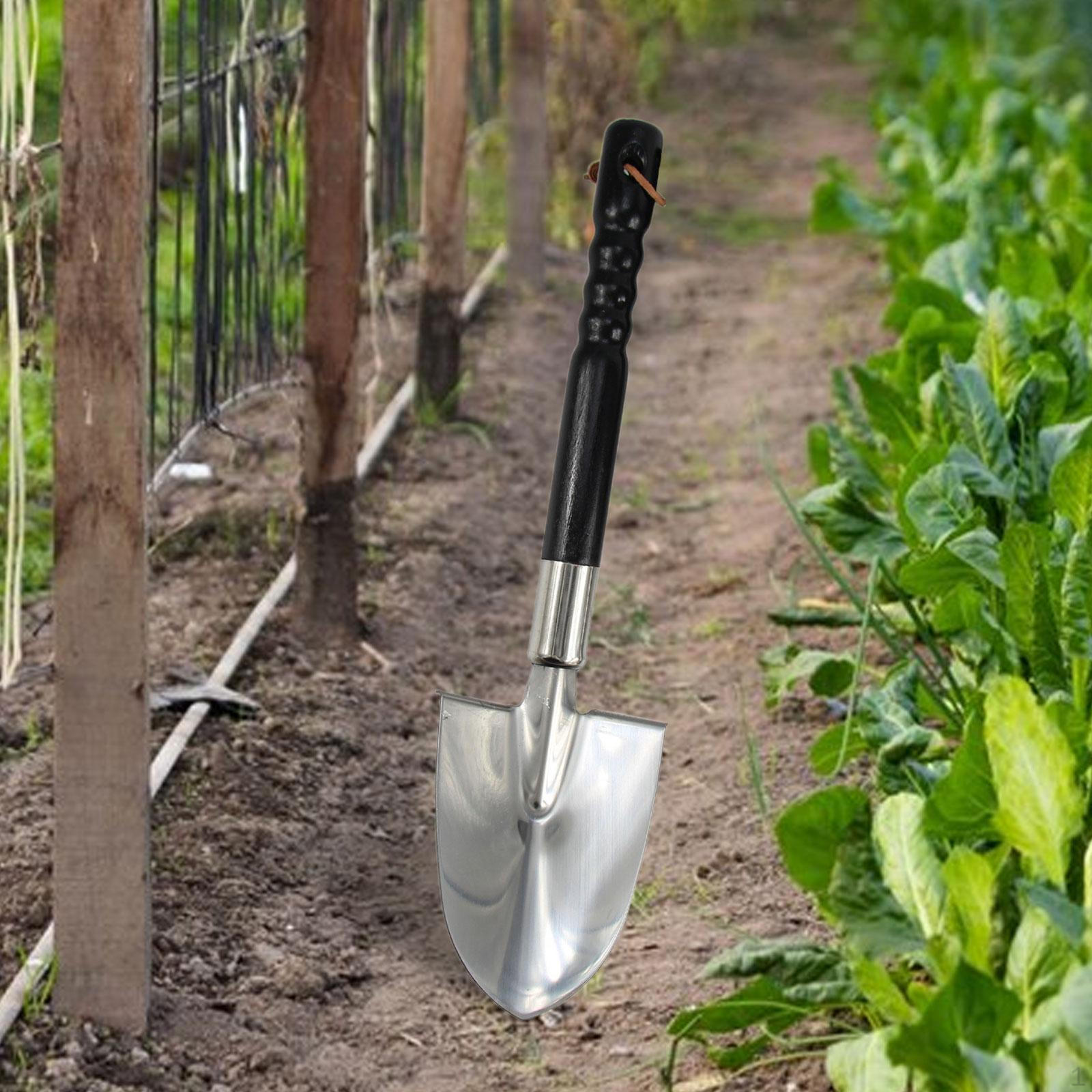 

Садовая лопата для эффективной посадки и ландшафтного дизайна Pointed