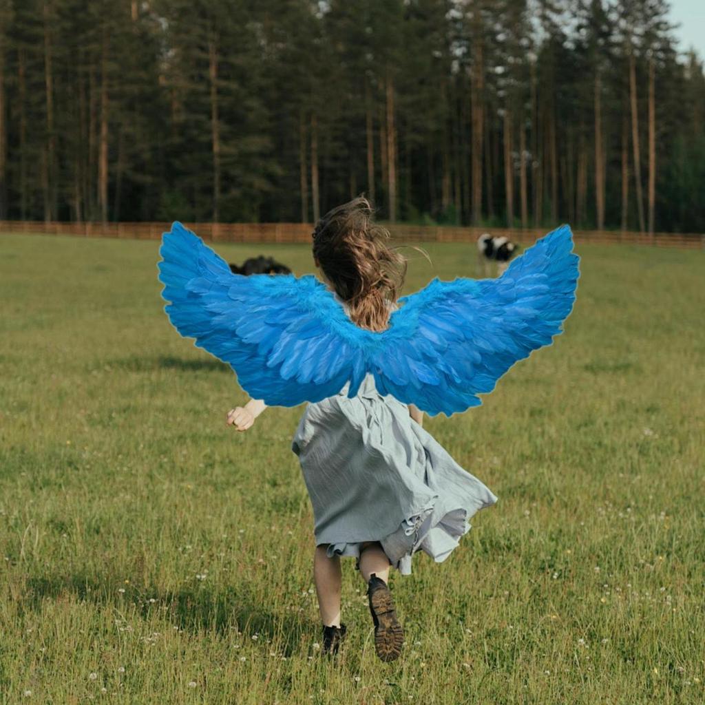 Feather Angel Wing Lovely Cute Fancy Dress up for Festival Carnivals