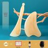Imitation Ox Horn Gua Sha and Meridian Stick Set