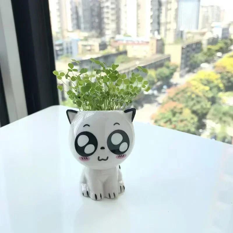Keramik Blumentopf Mini Katze Cartoon Niedliche Topfpflanze Schreibtisch Katze Pflanztopf DIY Schreibtisch Dekorieren Wissenschaftliche Bildung Schulgeschenke