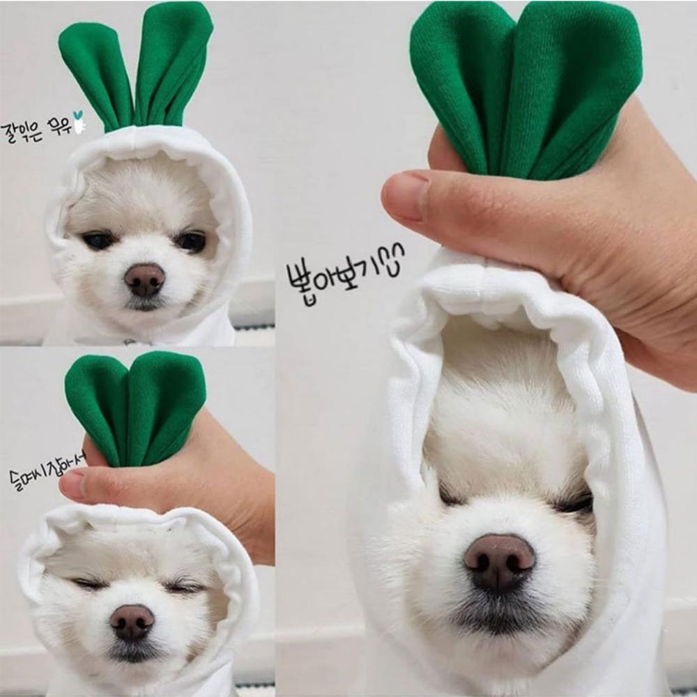 New cat pet clothes autumn and winter puppy dog teddy cat velvet hooded dog sweater supplies thickened and warm
