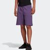 Adidas Originals Trefoil Logo Print Running Shorts Men Shorts Tech-Purple FM2237