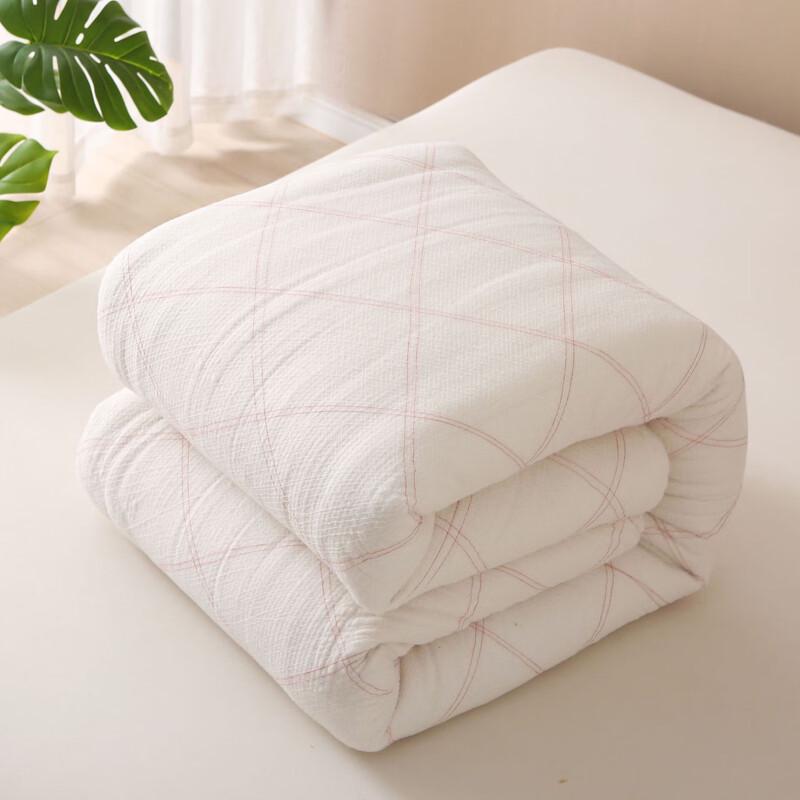 

Xiaoyueya All-Season Warm Duvet Insert