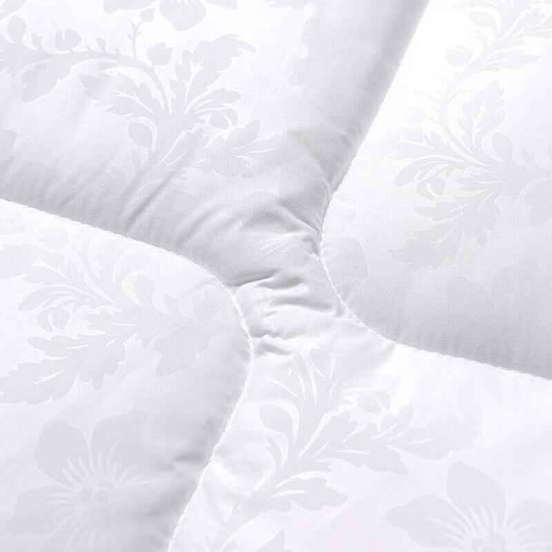 Fuanna Antibacterial All-Season Quilt