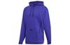 Originals RYV Sweatshirts Men's Purple Hooded Moderate Regular GD9329