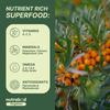 Nutrabud Sea Buckthorn Berry Powder Pure Himalayan Fruit Supplement For Daily Wellness And Nutritional Support 100g Pack