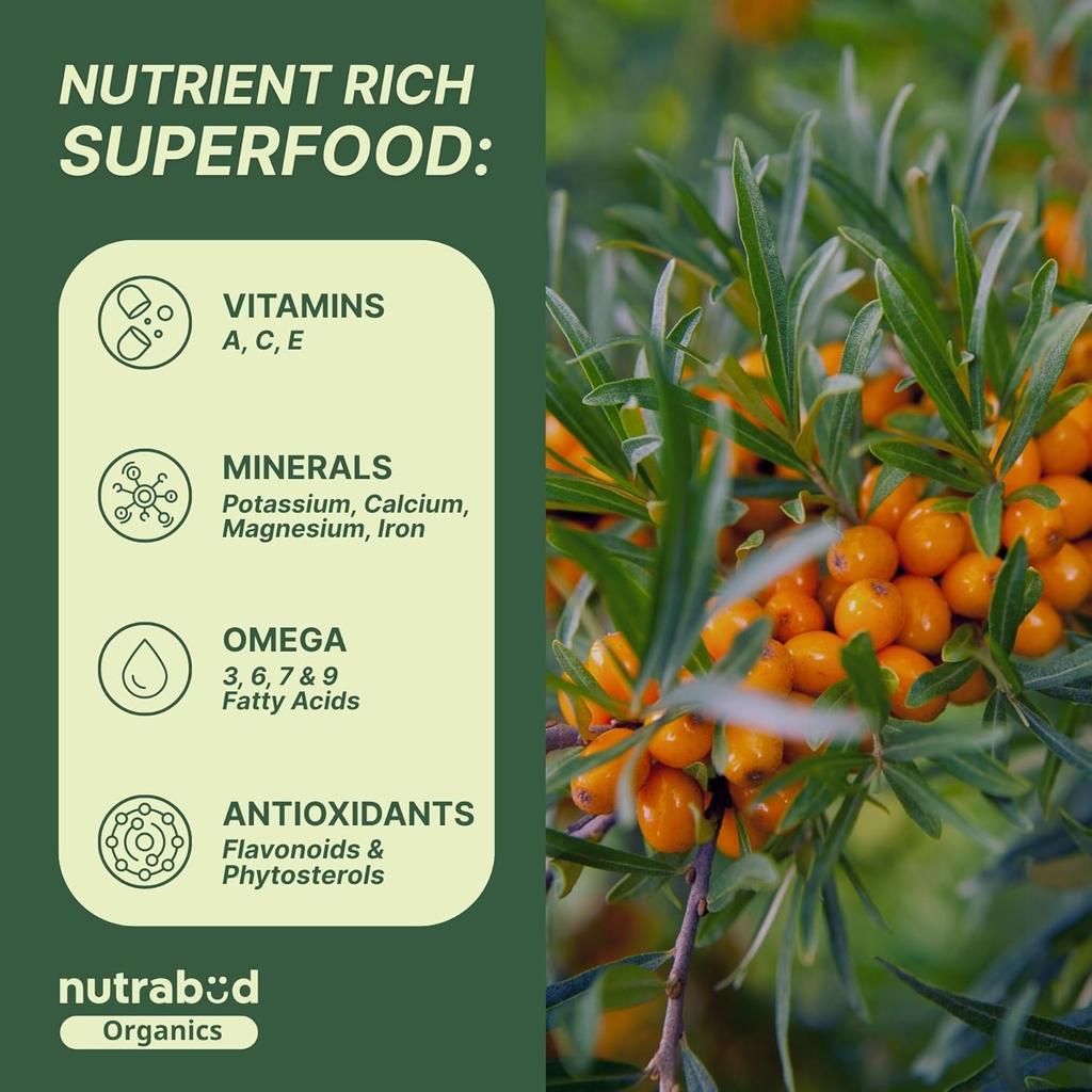 Nutrabud Sea Buckthorn Berry Powder Pure Himalayan Fruit Supplement For Daily Wellness And Nutritional Support 100g Pack