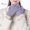 1 Pair Unisex Winter Gloves Knitted Thick Warm Color Matching Touch Screen Anti-slip Elastic Soft Warm Thick Plush Cycling Riding Gloves