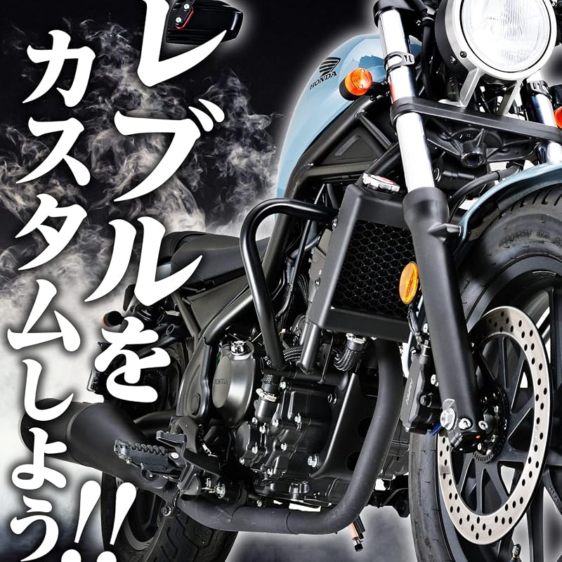 Daytona Rebel 250/500 (17-23) Dedicated Side Bag Support, Left Side Saddlebag Support 95225