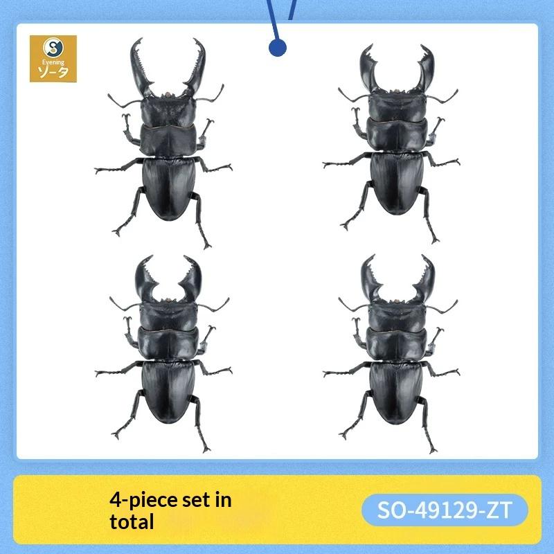 Sota Simulation Insect Model Giant Stag Beetle Palawan Sumatran Biological Illustration Collectible Figurine With Display Stand