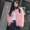 Autumn and winter new imitation beach sheep fur coat women's short young fashion fur integrated wool coat