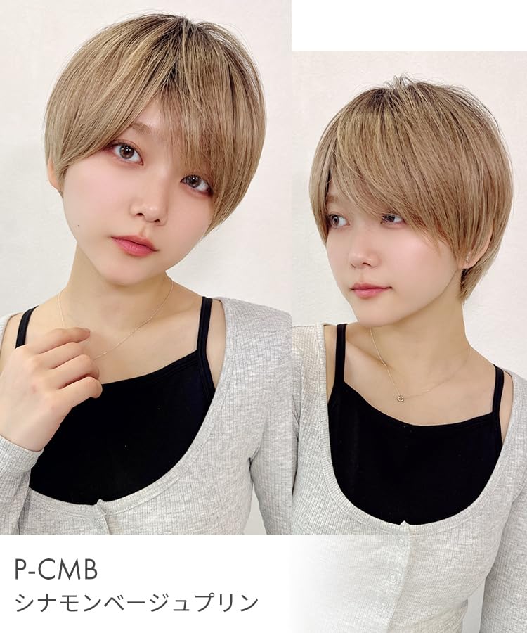 AQUADOLL Short Full Wig, Pudding Style, Black/Silver Hair, Boyish Style, Short Hair, One Size Fits Most, Medium, ABG. Ash Beige, wg316-M-ABG