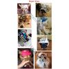 Pet Hat Dog Hat Baseball Hat Summer Canvas Dog Cap Only For Small Pet Dog Outdoor Accessories Outdoor Hiking Sports