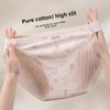 Plus Size Women's 10A Cotton Antibacterial Crotch Breathable and Gently Tucked High Waist Briefs