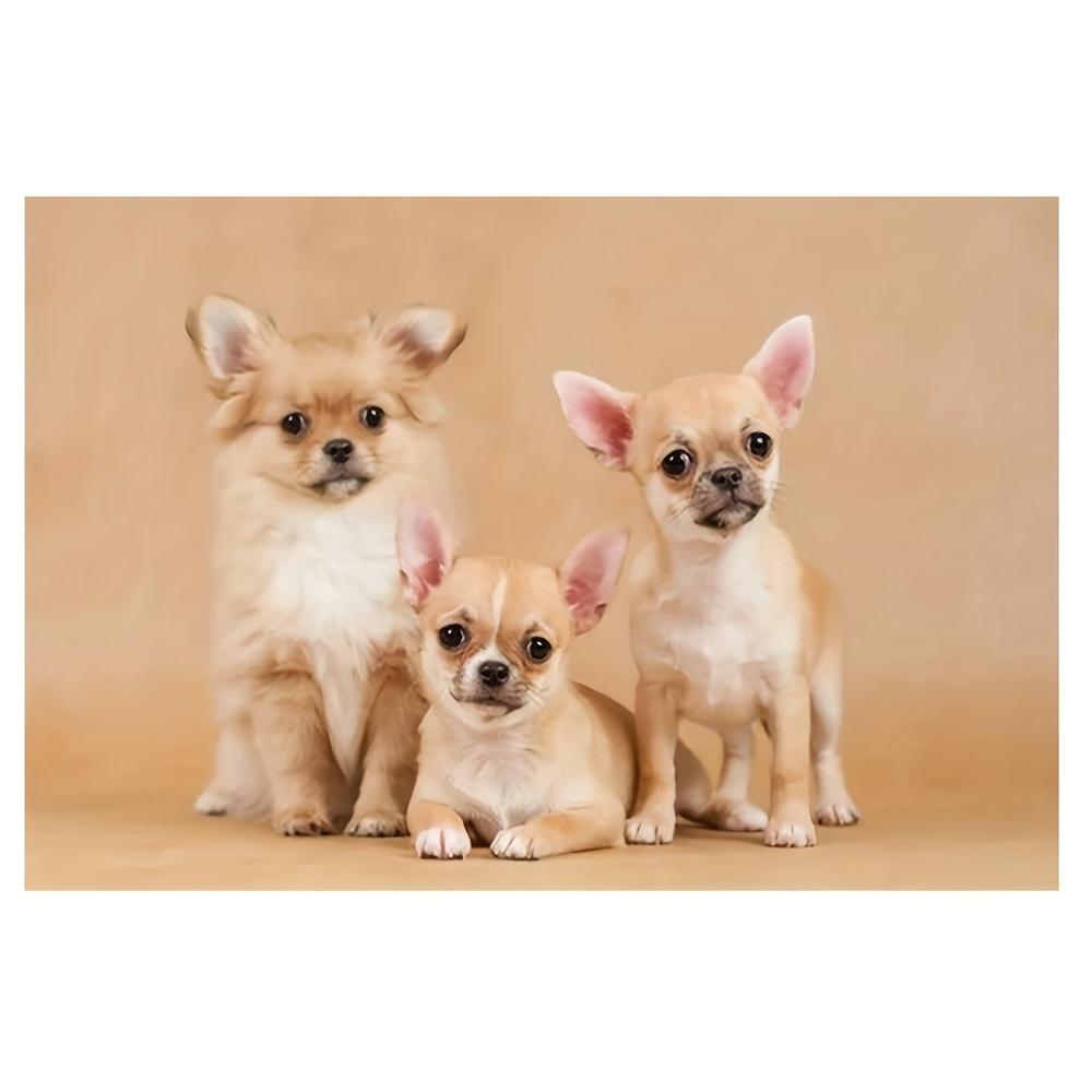

Chihuahua Puppy Placemats Set of 4 Cute Dog Place Mats for Dining Table Kitchen Decor Washable Linen Like Pet Lover Gift 4Pcs-30X45cm(12X18in
