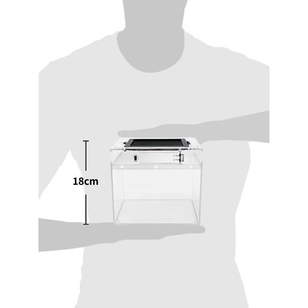 Reptile Growth Small Reptile Cage, Transparent Reptile Cage, Terrarium for Small Animals, Turtles, Turtles, Amphibians, and Other Animals, 20 X 20 X 1