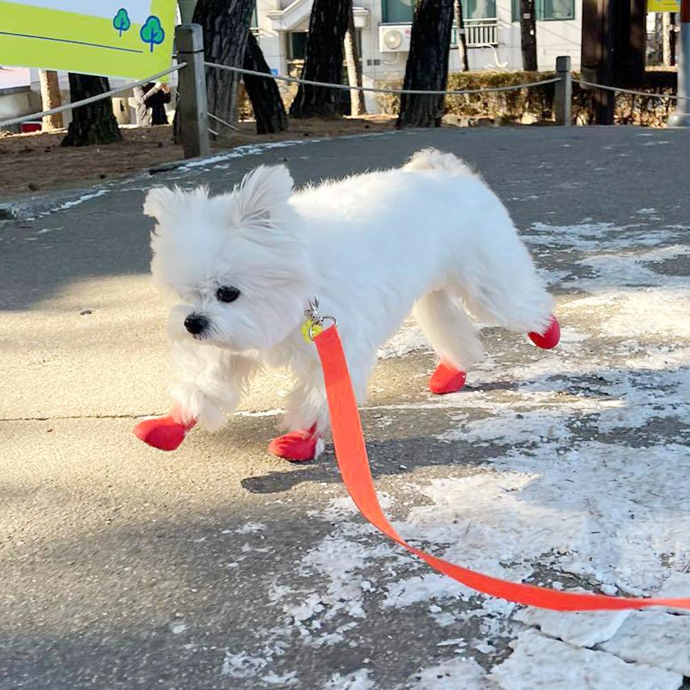 Silicone Dog Boots Waterproof Anti-Slip Pet Shoes 2pcs Paw Protectors All Weather Cute Dog Walking Shoes