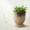 16-inch Woven Flower Pot - The Perfect Gift For Friends.