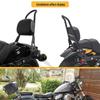 Harley XL883/1200/X48 Rear Backrest with Quick Release Seat Cushion and Luggage Rack for Motorcycle Modification