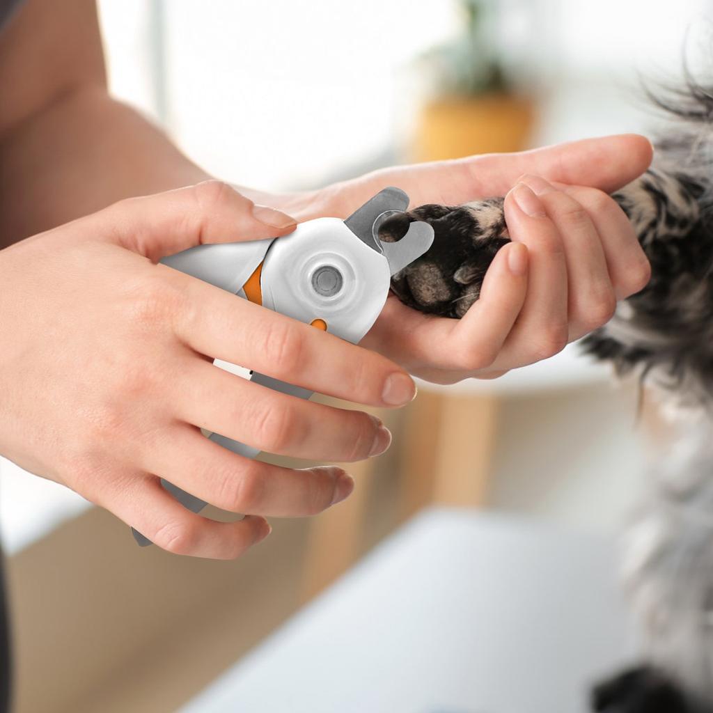 Cat Nail Clippers With Light Stainless Steel Nail Clippers Cat Nail Clippers With File Pet Nail Clippers