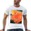 Grasshopper On Orange Flower Tshirt Casual Everyday Short Sleeve Tshirt