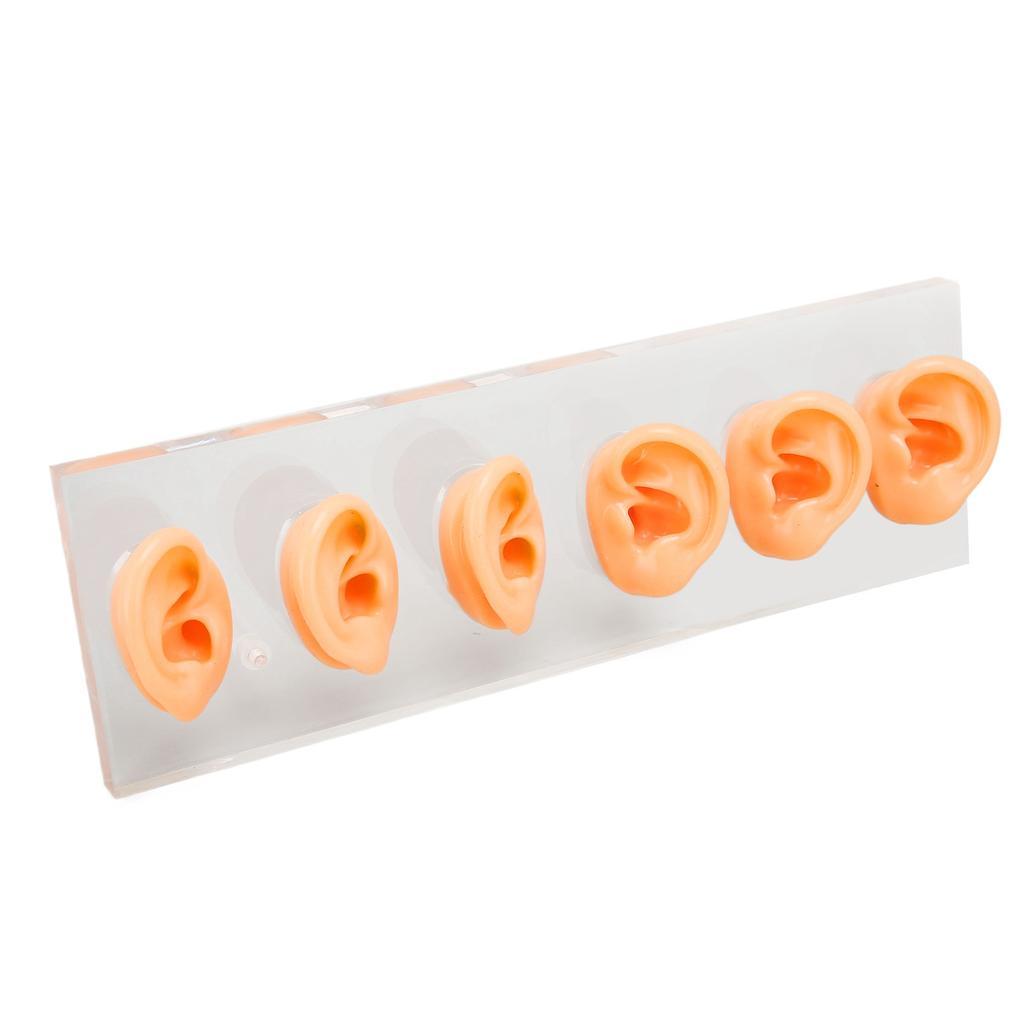 6 Pcs Silicone Ear Model Soft Waterproof Simulated Silicone Ear Model Hearing Aid Accessories with