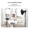 2025 Reverse Fold Light Stand: Portable Fill Light for Photography, Film, TV & Live Streaming
