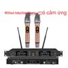 Premium KTV Infrared Wireless Dual Microphone Set