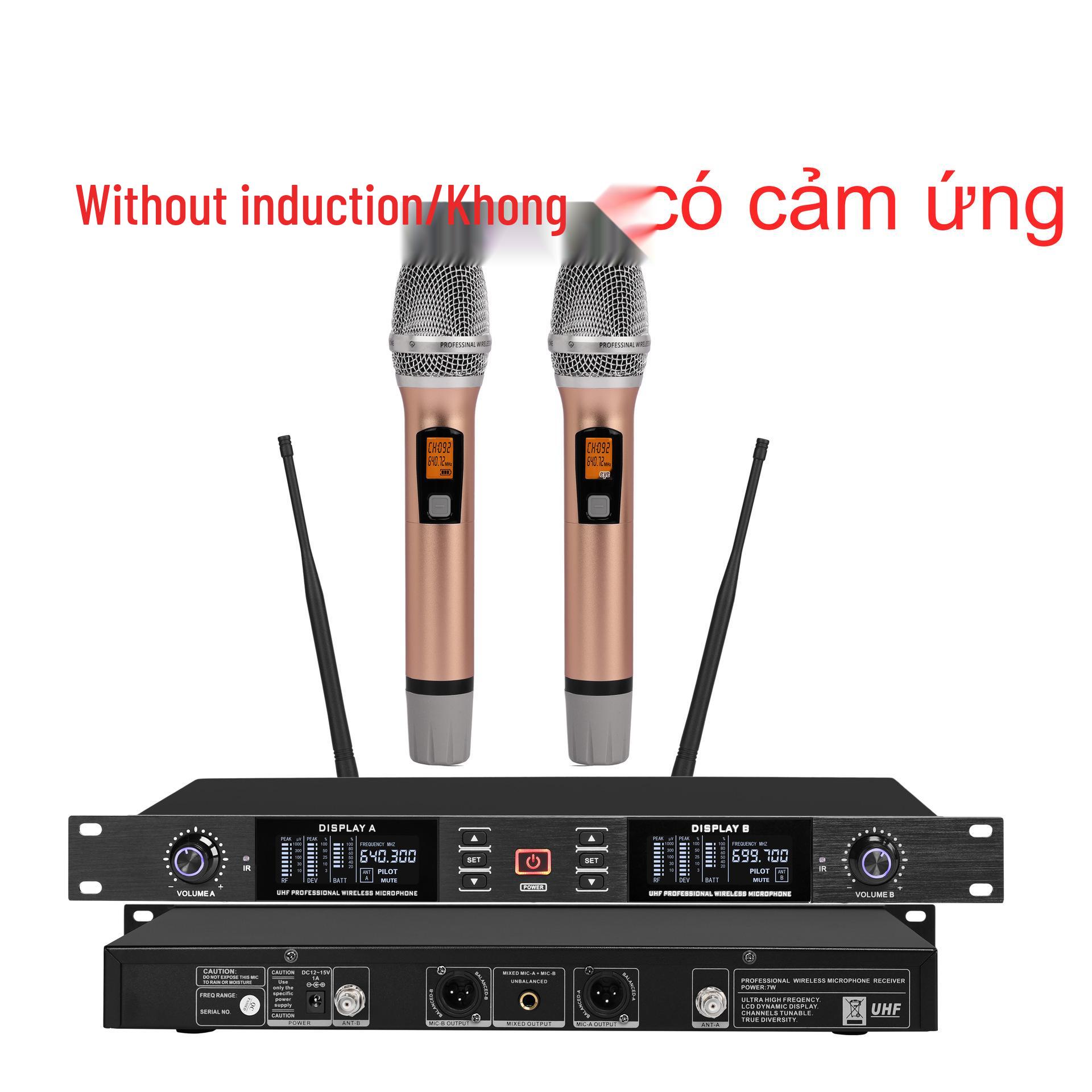 

Premium KTV Infrared Wireless Dual Microphone Set EU Plug
