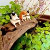 Fish Tank Fishing Cat Hanging Creative Landscape Decoration Office Decoration Fishing Mini Decoration Micro Landscape
