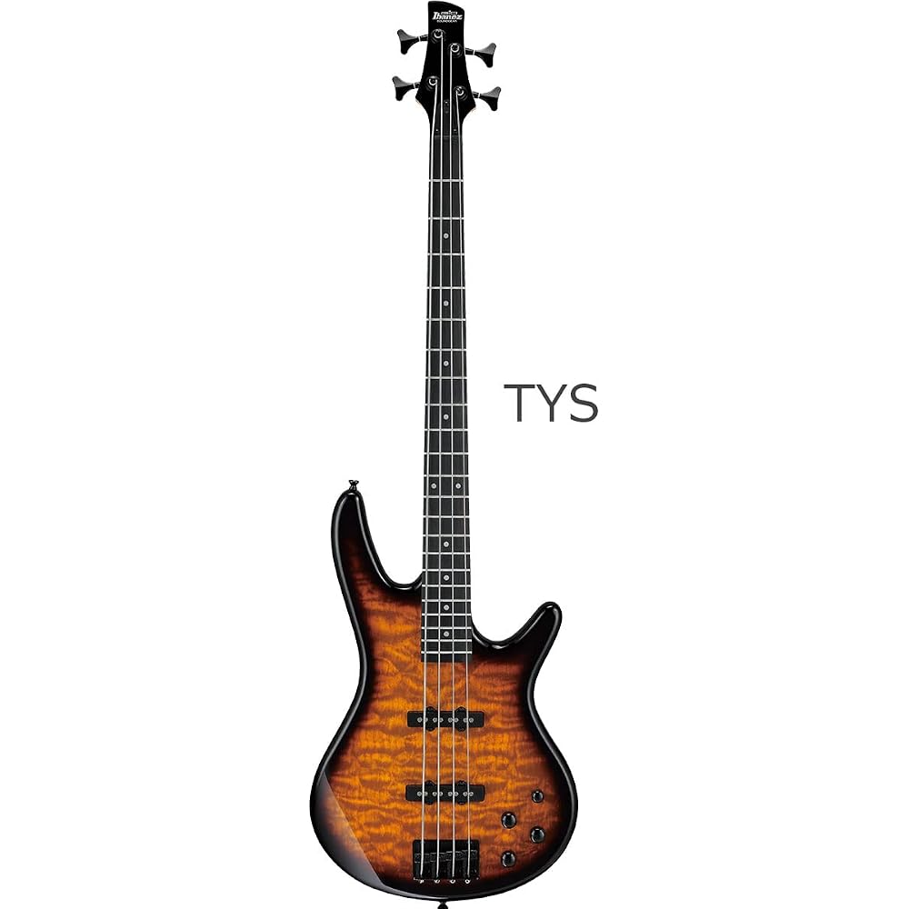 Gio Ibanez GSR280QA Bass Beginner 12 Piece Set [with Rechargeable Mini Amplifier] TMS Electric Ba...