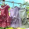Spring, Summer and Autumn New Dog Clothes Cat Clothing Plaid Lace Butterfly Skirt Teddy Pet Supplies