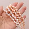 1String, Top Sided Drilled Hole Pearl 5-6mm, Fashion Women Natural Freshwater Pearl Beads for Jewelry Making DIY Crafts, Luxury Bulk Gifts 36cm