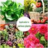 Jingyu Universal Plant Nutrient Solution