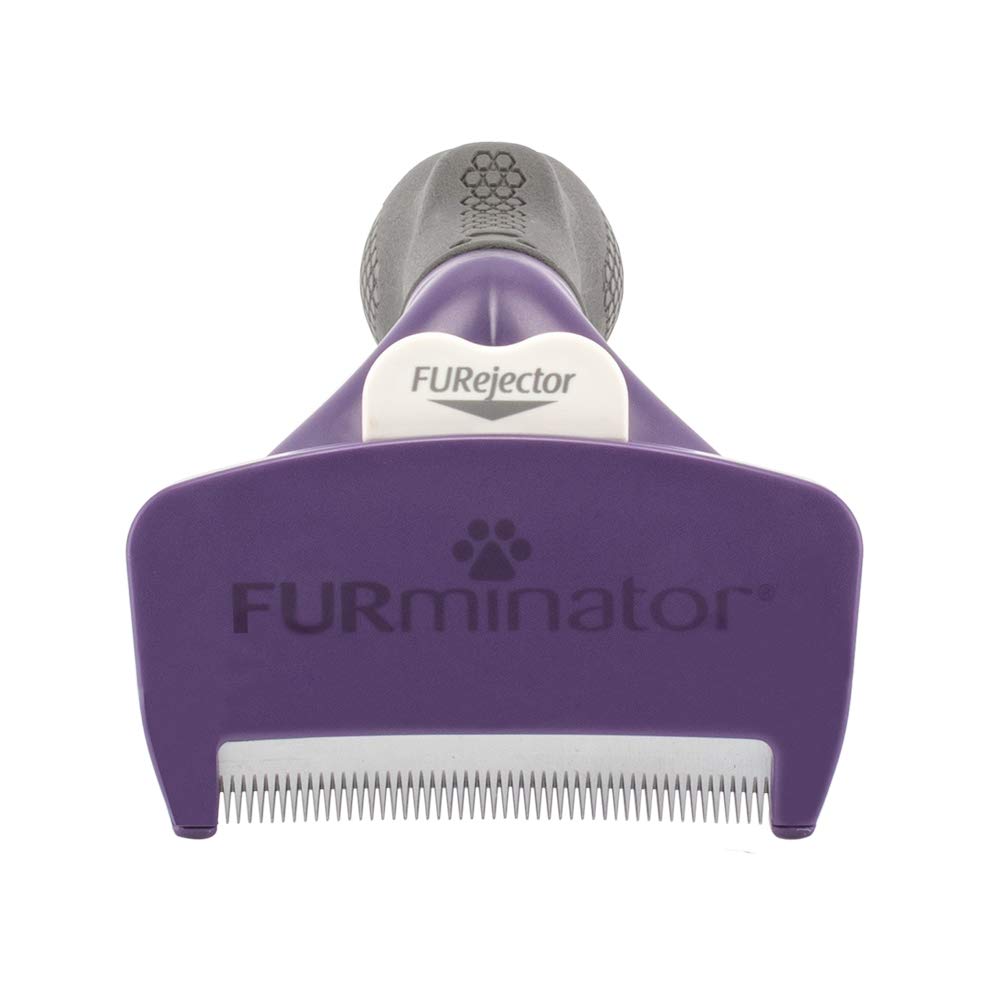 Furminator Pet Brush Size Short Hair Large Cats T691661 Cats FUR UNDERCOAT CAT SHORT HAR Grooming Hair Removal [Furminator] M/L EU3-12/1CT [Product]