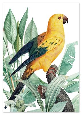 Bytové dekorácie – Obrazy a plagáty