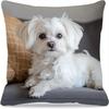 45X45Cm Adorable Maltese Dog Pillow Cover Cushion Pillowcase Modern Style Durable Soft Polyester Home Decor, Bedroom Accessory