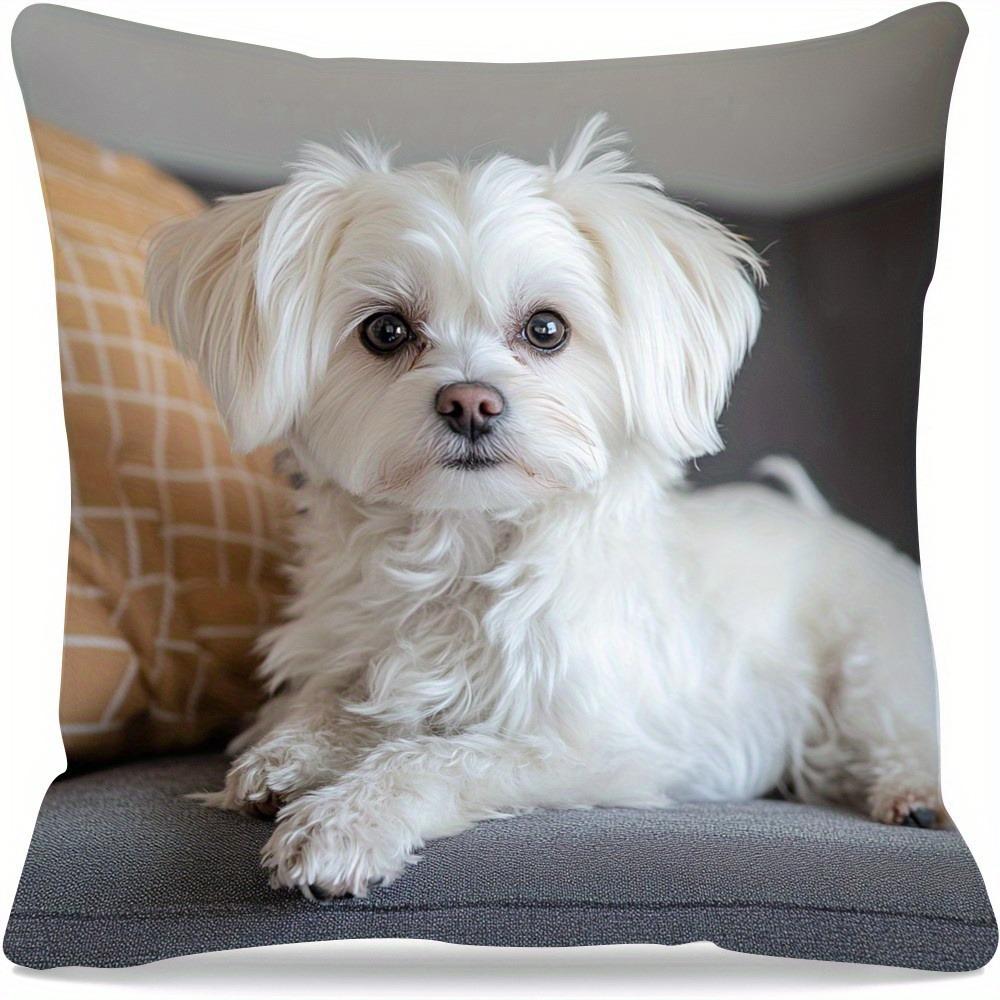 45X45Cm Adorable Maltese Dog Pillow Cover Cushion Pillowcase Modern Style Durable Soft Polyester Home Decor, Bedroom Accessory