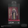Star Wars Black Series Luminara Unduli Attack of the Clones 6-inch Premium Collectible Action Figure