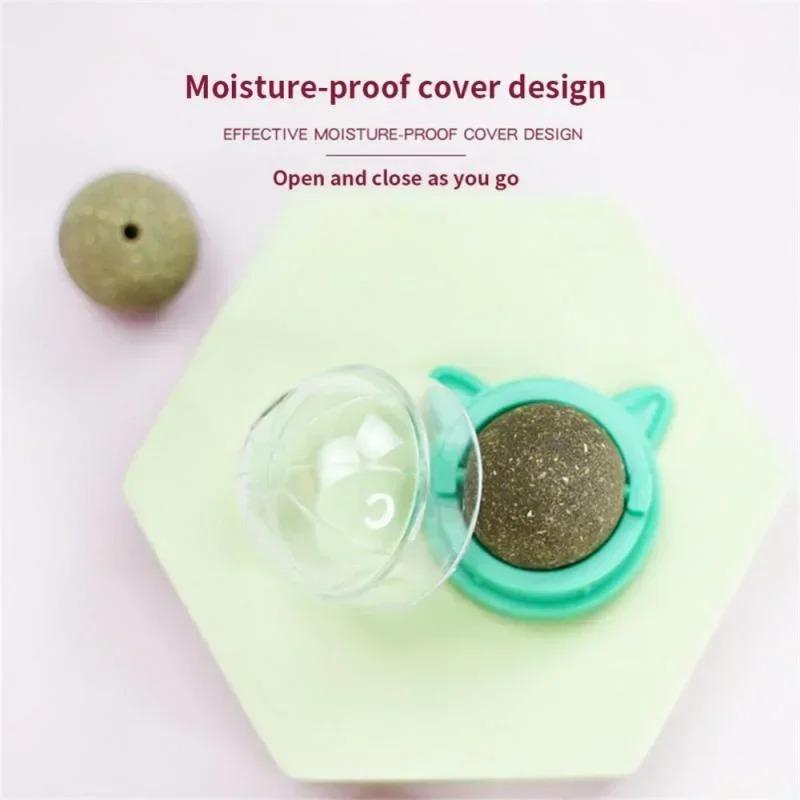 Catnip Ball Cat Toy Self-exuberant Teething Catticker Stick To The Wall Lick Lick Roca Ready-to-eat Baby Cat Supplies LS