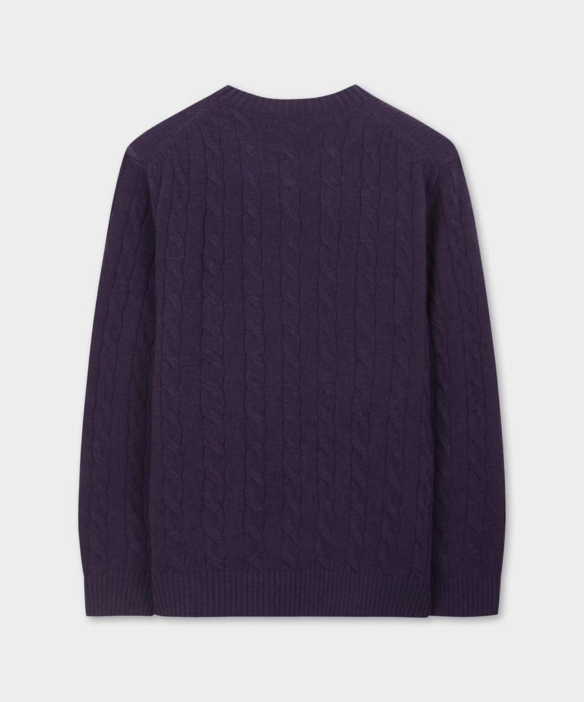 BROOKS BROTHERS Wool Cable Sweater (Violet) (Bbwrmbf401)