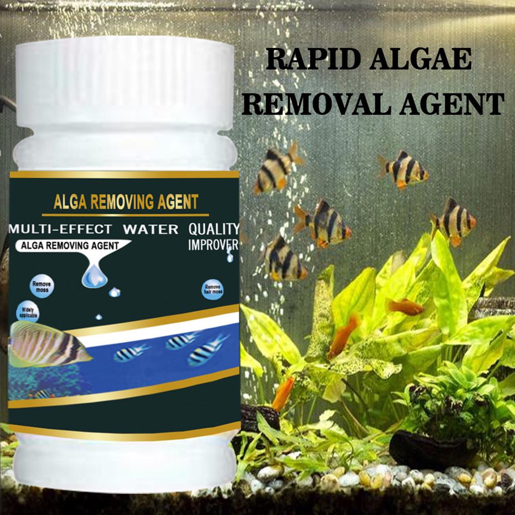 Buy Aquarium Algaecide Aquatic Algae Control Algae Detergent