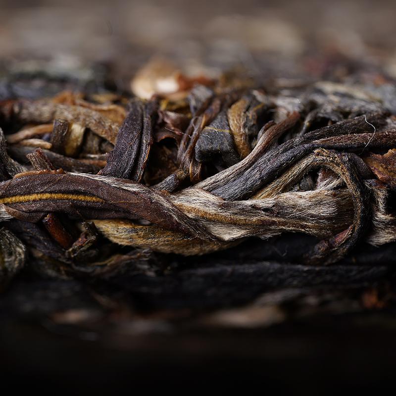 Tè Puer 2021 Old Comrade Dong Guo Gu Shu Sheng, famoso tè Puer crudo di montagna, vecchio albero, 500 g