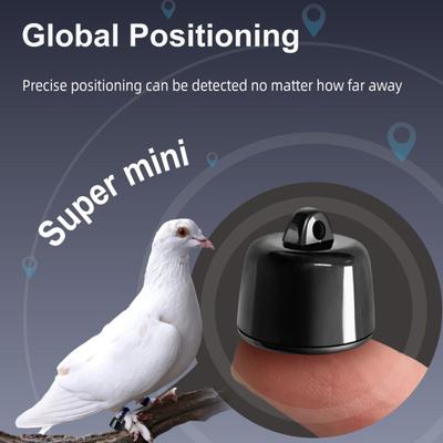 Chytrý sledovač zvířat Sledování polohy Obojek Real-time Globální polohování Režim Napájení z baterie Proti ztrátě