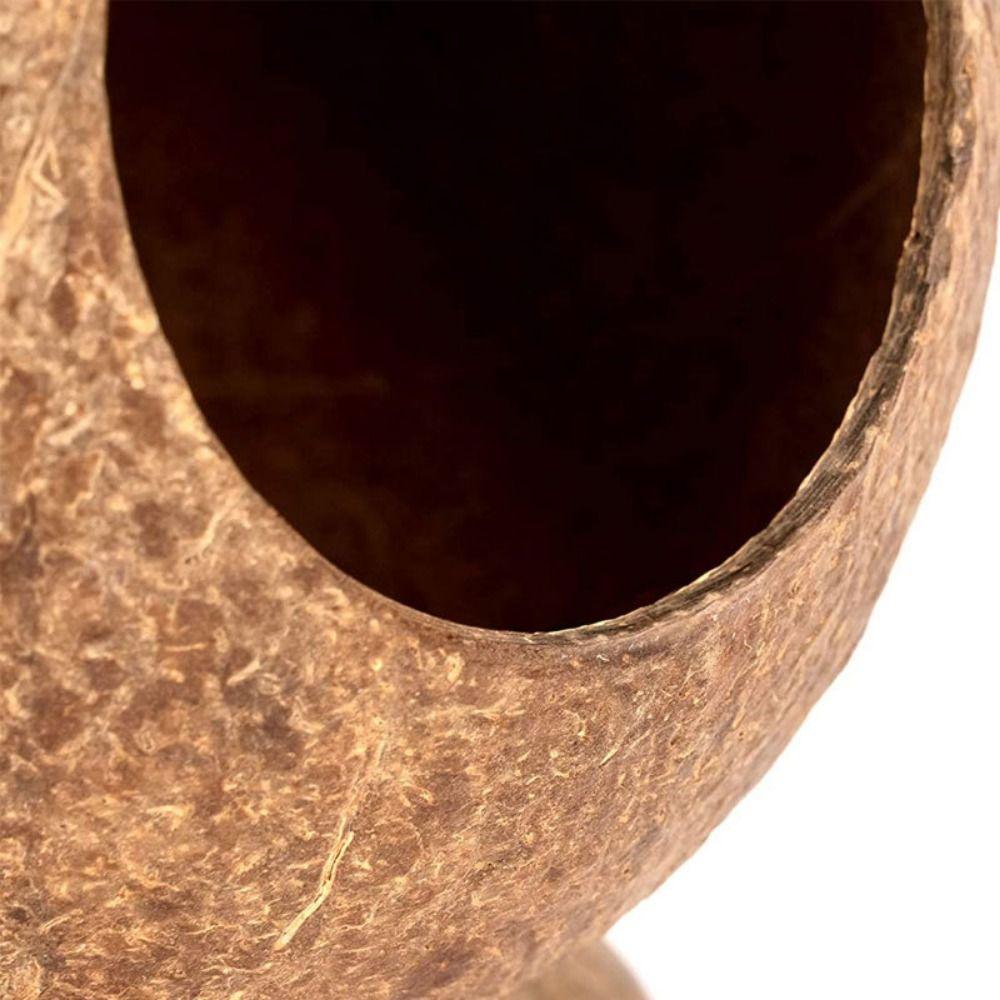 Bissfestes Kokosnussschalen-Hamsterhaus, stabile Struktur, Hamsternest, Spielzeug für Meerschweinchen, Ratte