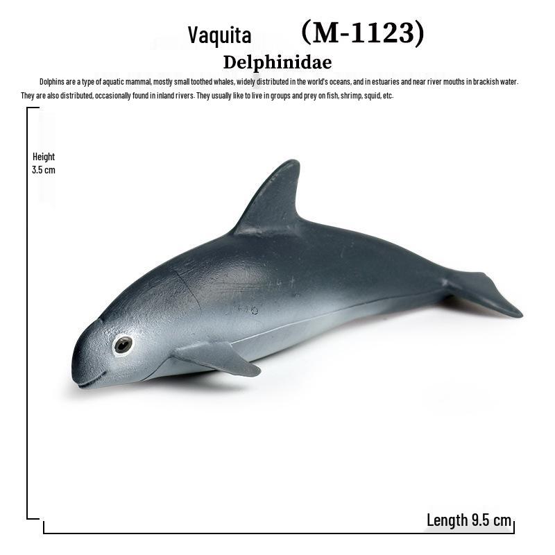 Marine Animal Simulation Models: Blue Whale, Dolphin, Manatee, Manta Ray, Boxfish - Children's Toys & Ornaments