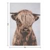 Highland Calf - Colorful Throw Blanket Flannel Single Vintage cosplay anime Blankets